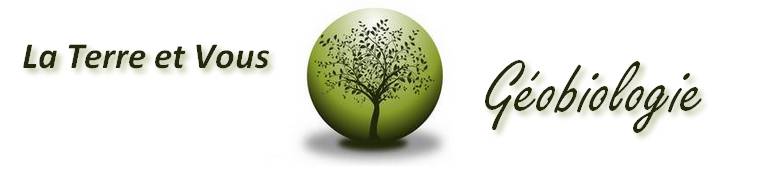 dans le logo du site laterreetvous, l'arbre représente la vie qui sort de terre pour évoluer jusqu'au Ciel